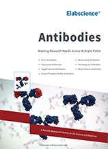 Antibodies (2025)
